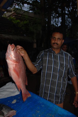 Seppili - Malabar Red Snapper